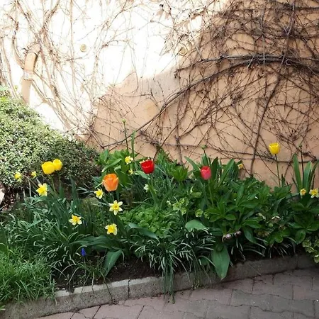 아파트 V Banskej Stiavnici U Antalov