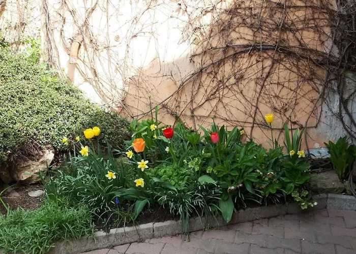 Apartment V Banskej Stiavnici U Antalov